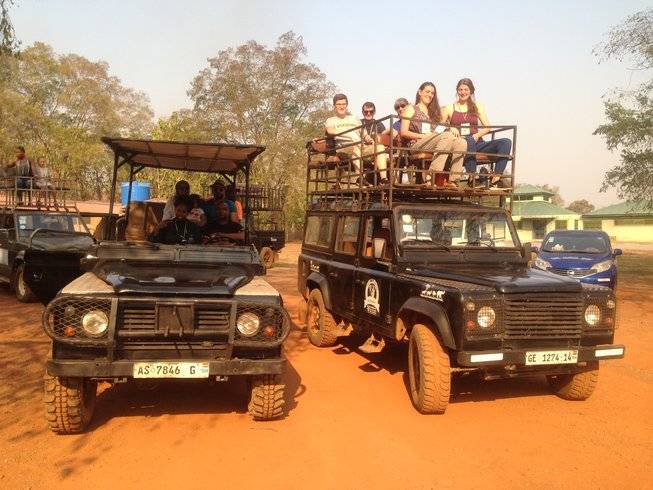 safari-mole-national-park